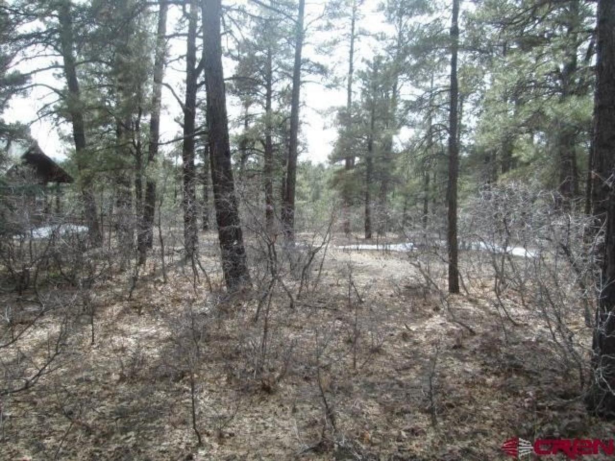 Picture of Residential Land For Sale in Pagosa Springs, Colorado, United States