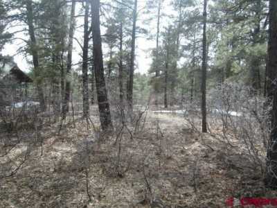 Residential Land For Sale in Pagosa Springs, Colorado