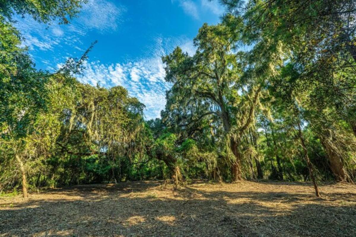 Picture of Residential Land For Sale in Johns Island, South Carolina, United States