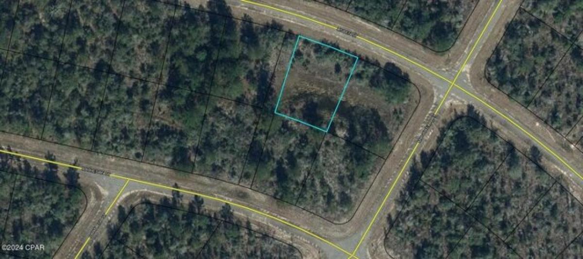 Picture of Residential Land For Rent in Chipley, Florida, United States