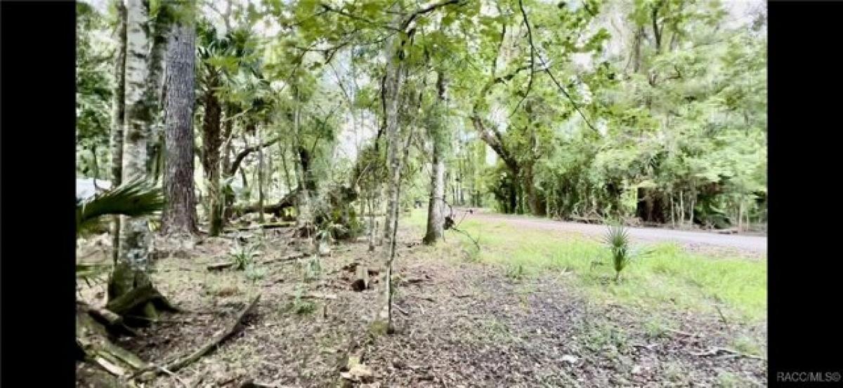 Picture of Residential Land For Sale in Floral City, Florida, United States