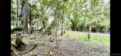 Residential Land For Sale in Floral City, Florida