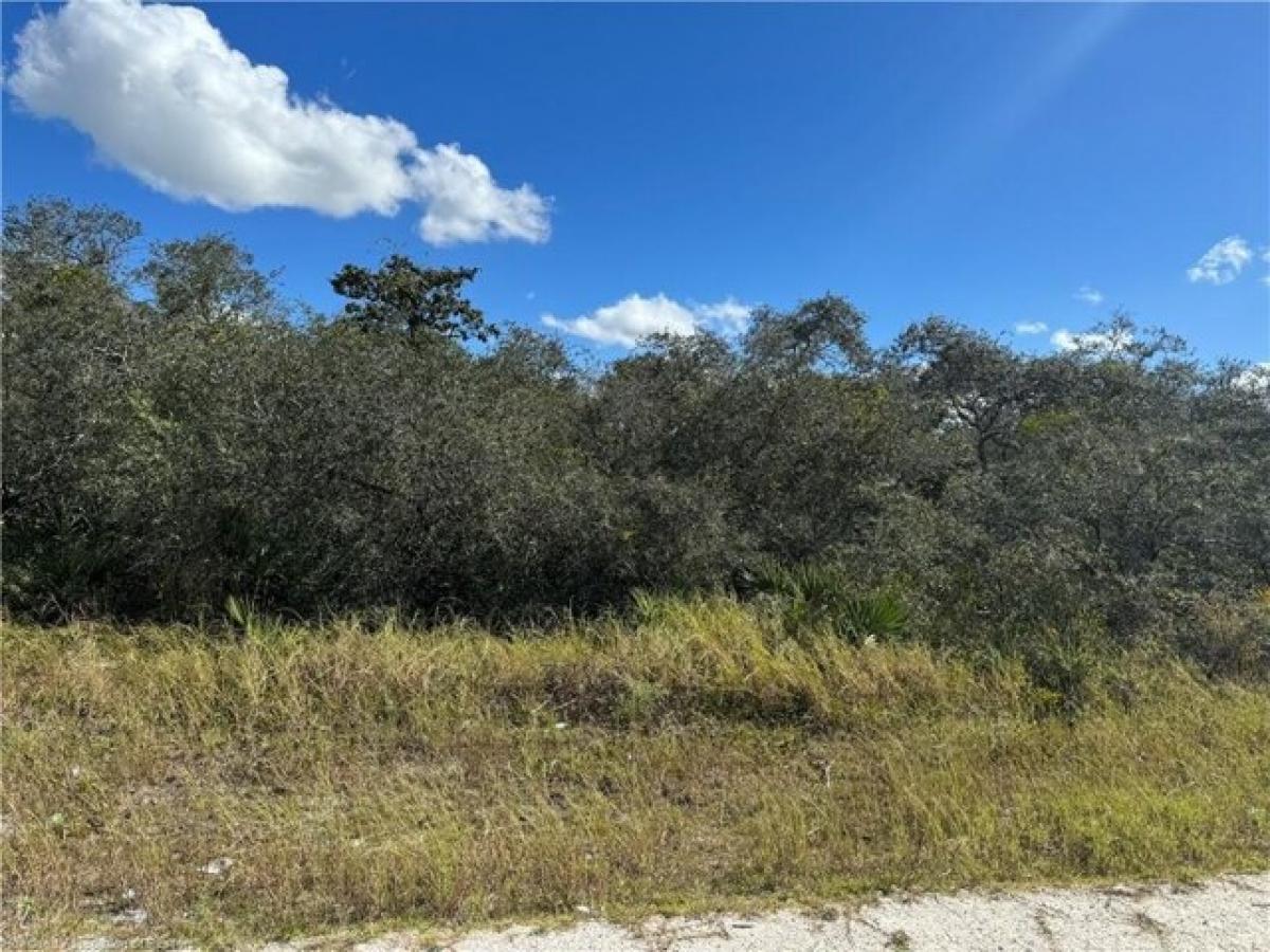 Picture of Residential Land For Rent in Lake Placid, Florida, United States