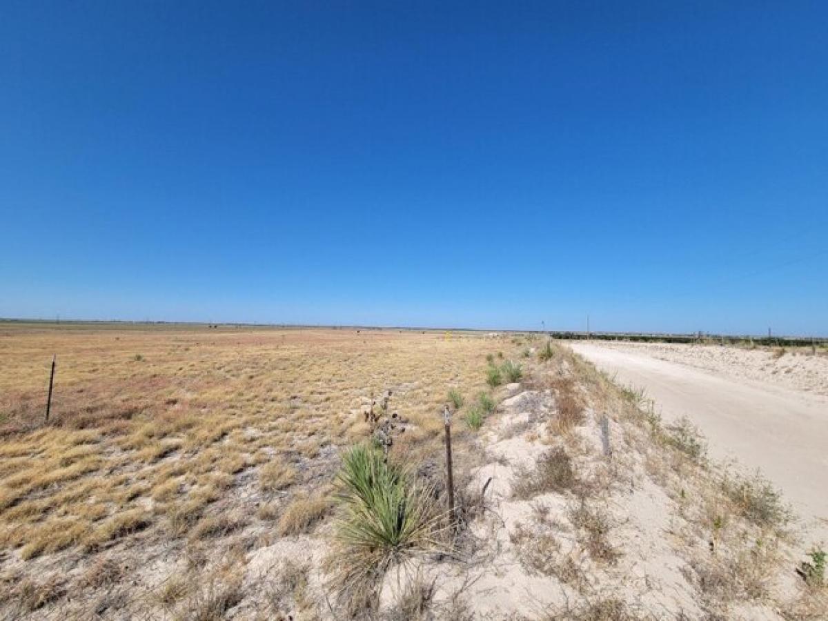 Picture of Residential Land For Sale in Shallowater, Texas, United States