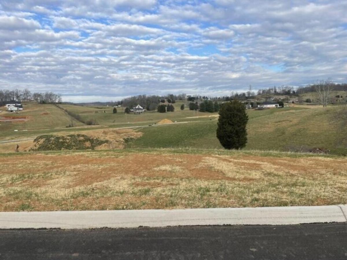 Picture of Residential Land For Sale in Jonesborough, Tennessee, United States