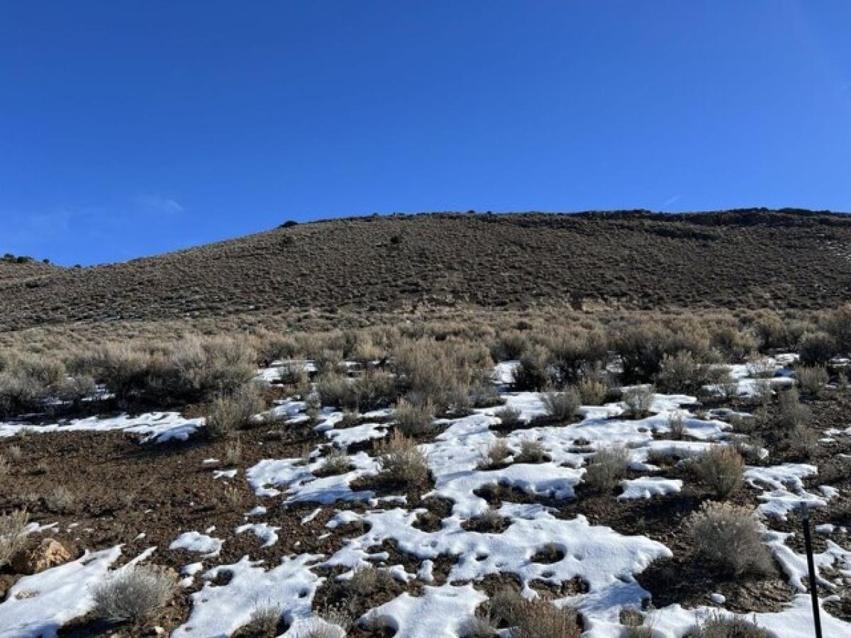 Picture of Residential Land For Sale in Elko, Nevada, United States