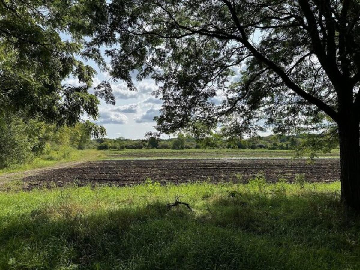 Picture of Residential Land For Sale in Bristol, Wisconsin, United States