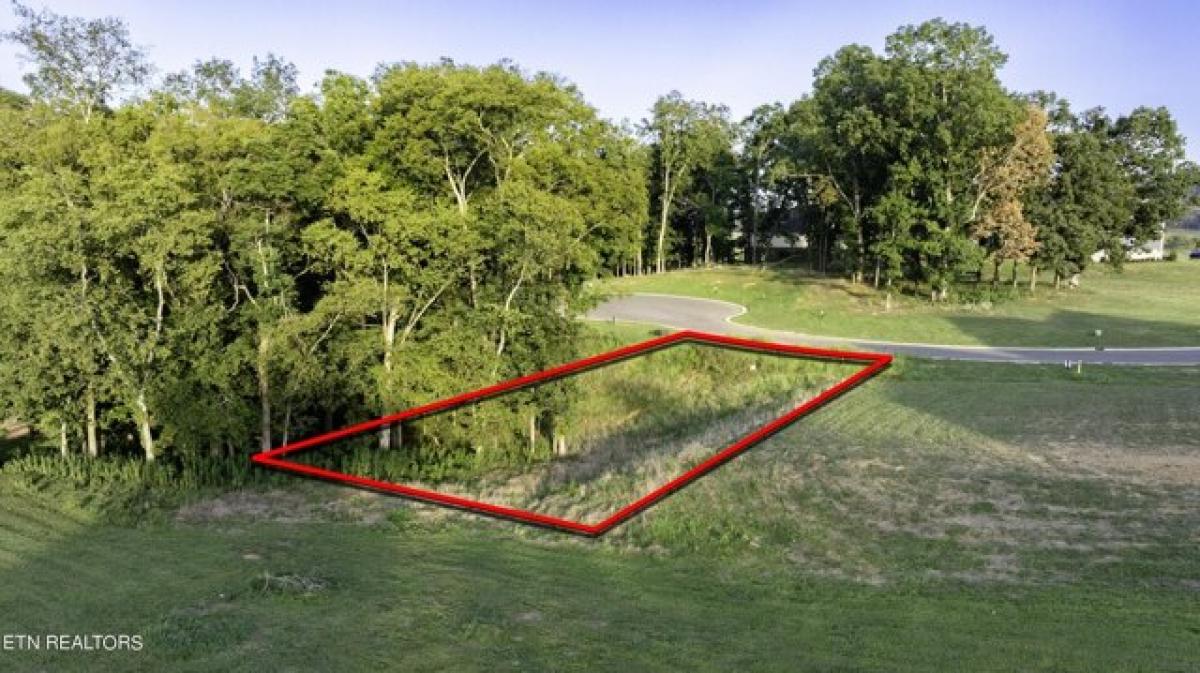 Picture of Residential Land For Sale in Loudon, Tennessee, United States