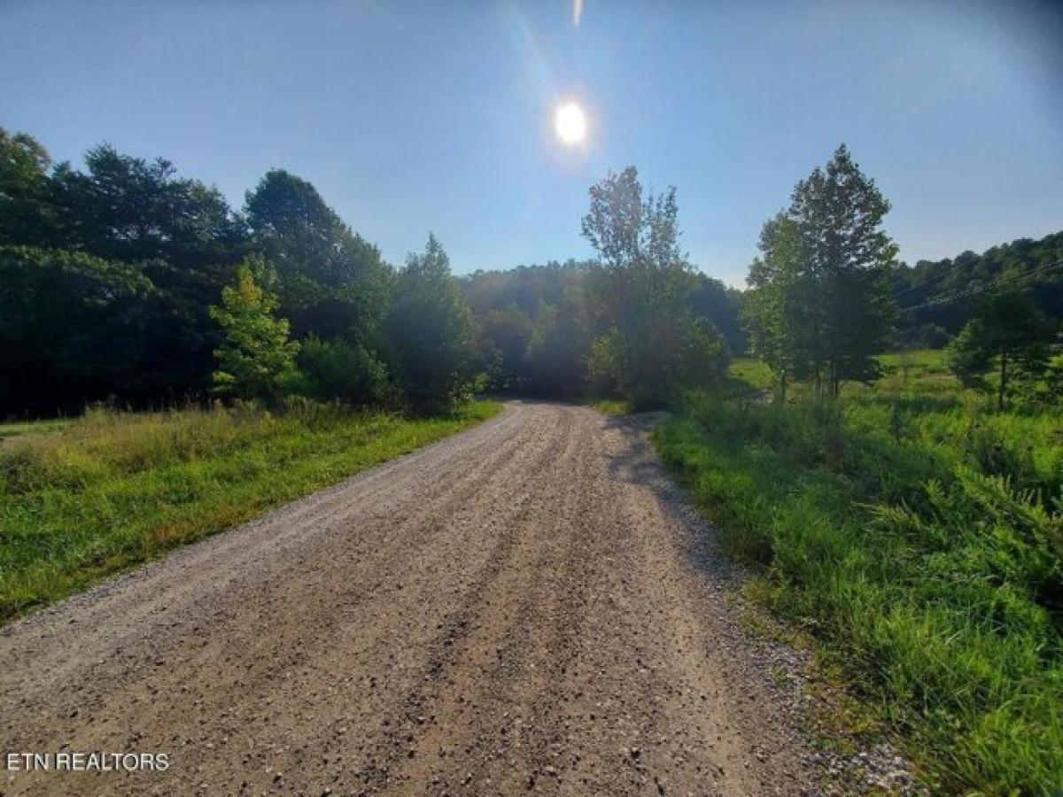 Picture of Residential Land For Sale in Oneida, Tennessee, United States