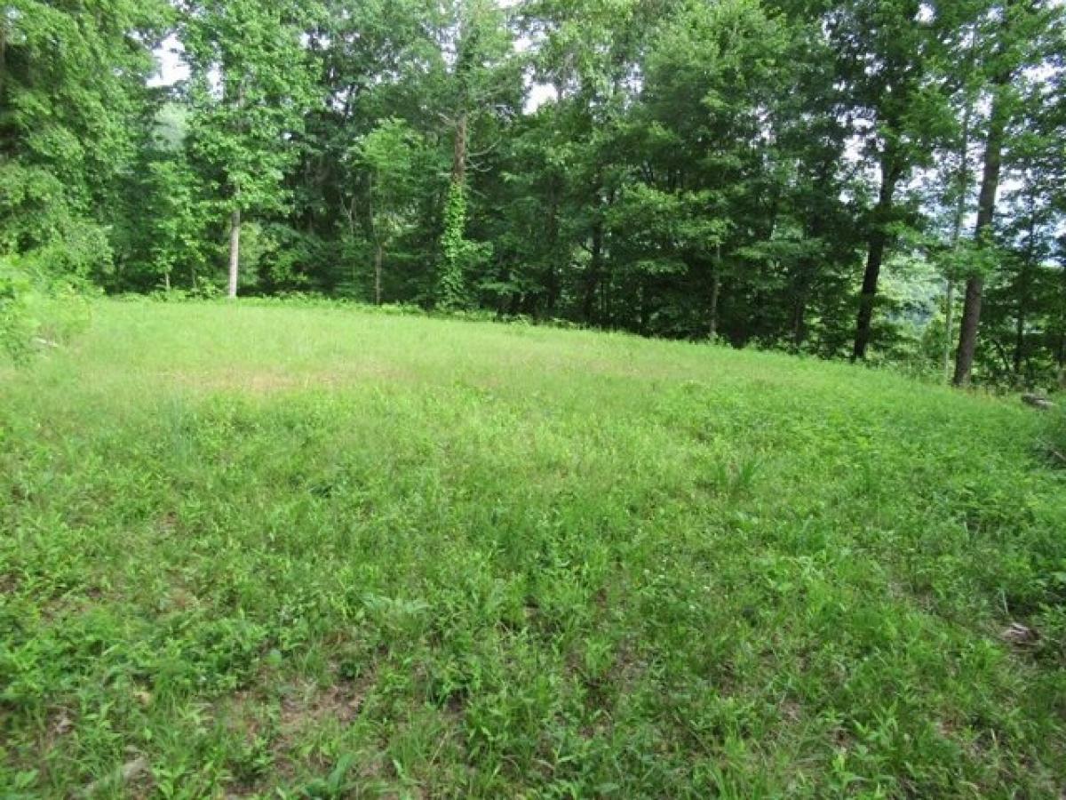 Picture of Residential Land For Sale in Franklin, North Carolina, United States