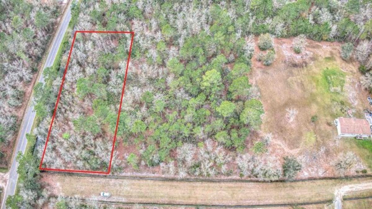 Picture of Residential Land For Sale in Hastings, Florida, United States