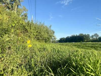 Residential Land For Sale in 