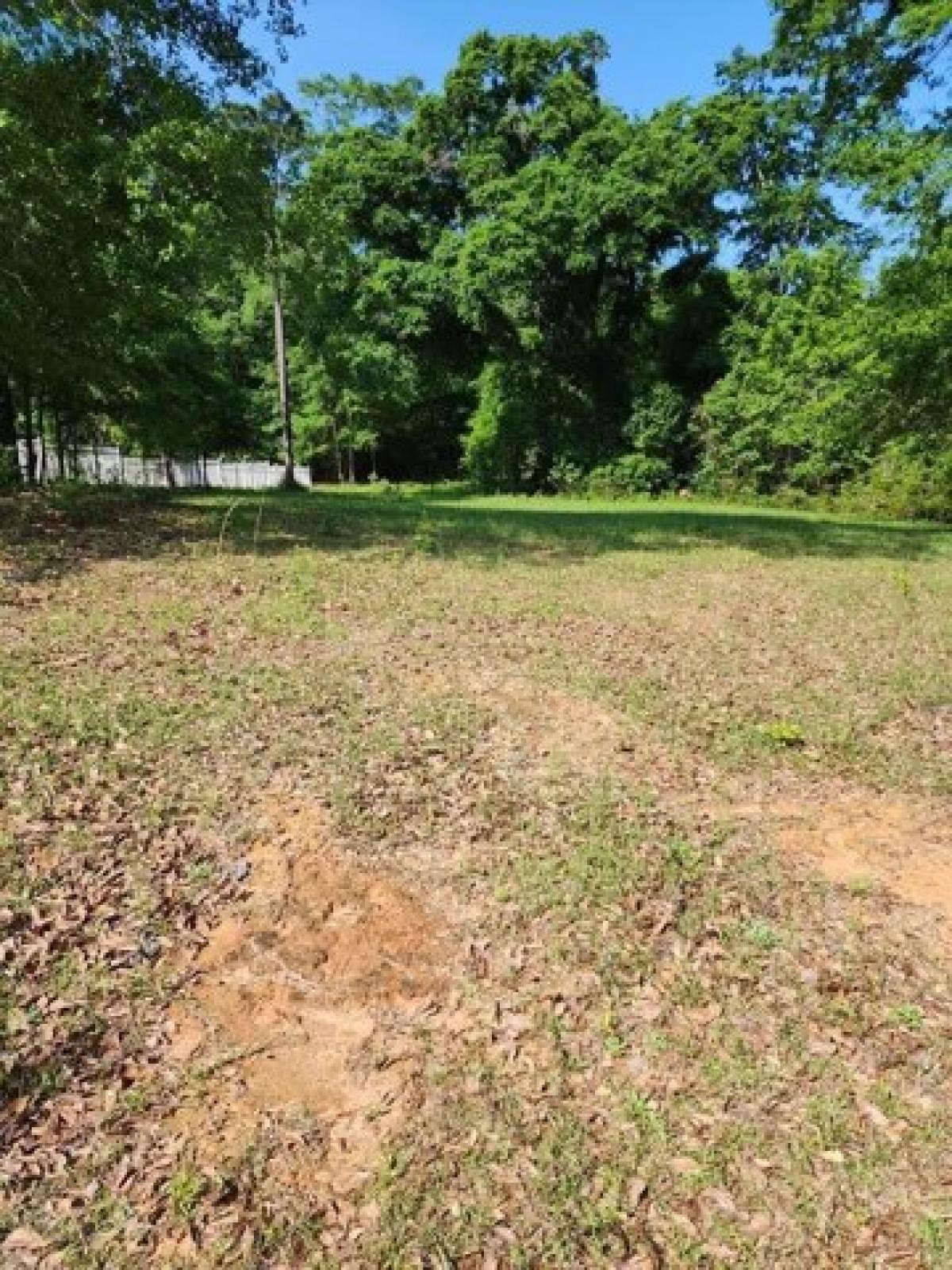 Picture of Residential Land For Sale in Eufaula, Alabama, United States