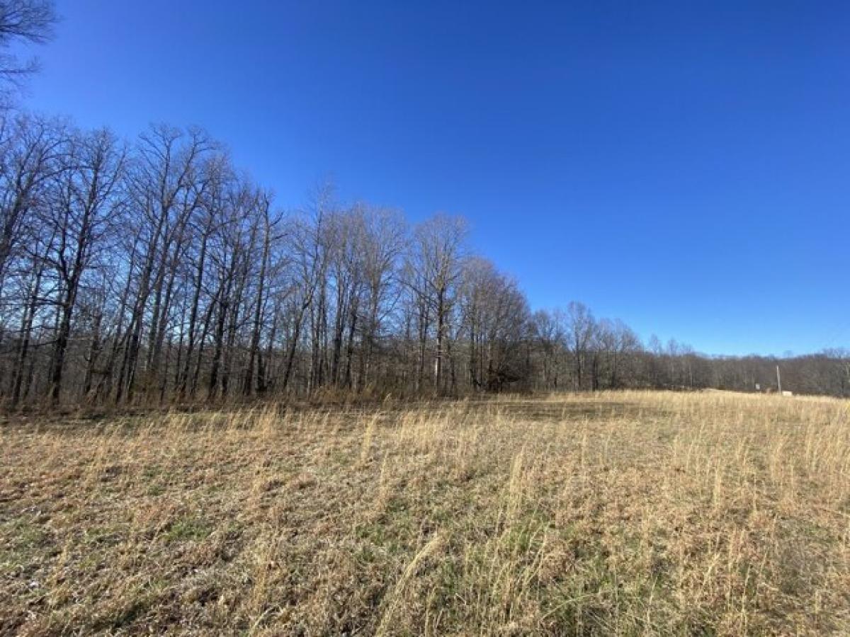 Picture of Residential Land For Sale in Waverly, Tennessee, United States