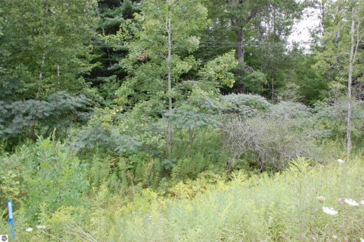 Picture of Residential Land For Sale in Alger, Michigan, United States