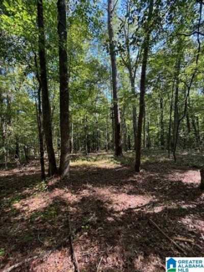 Residential Land For Sale in Wadley, Alabama