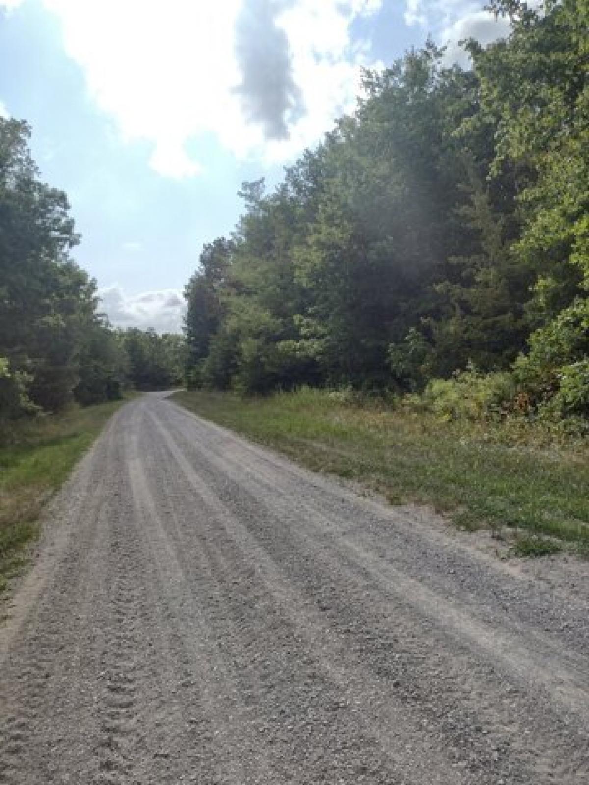 Picture of Residential Land For Sale in Altamont, Tennessee, United States