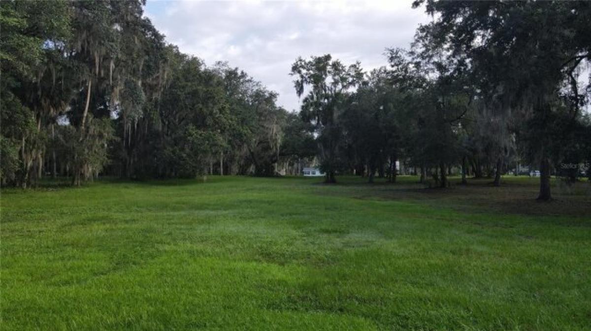 Picture of Residential Land For Sale in Lake Panasoffkee, Florida, United States