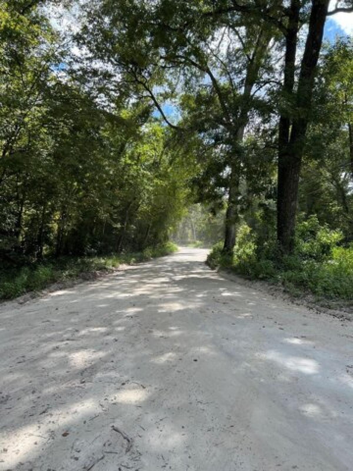 Picture of Residential Land For Sale in Old Town, Florida, United States