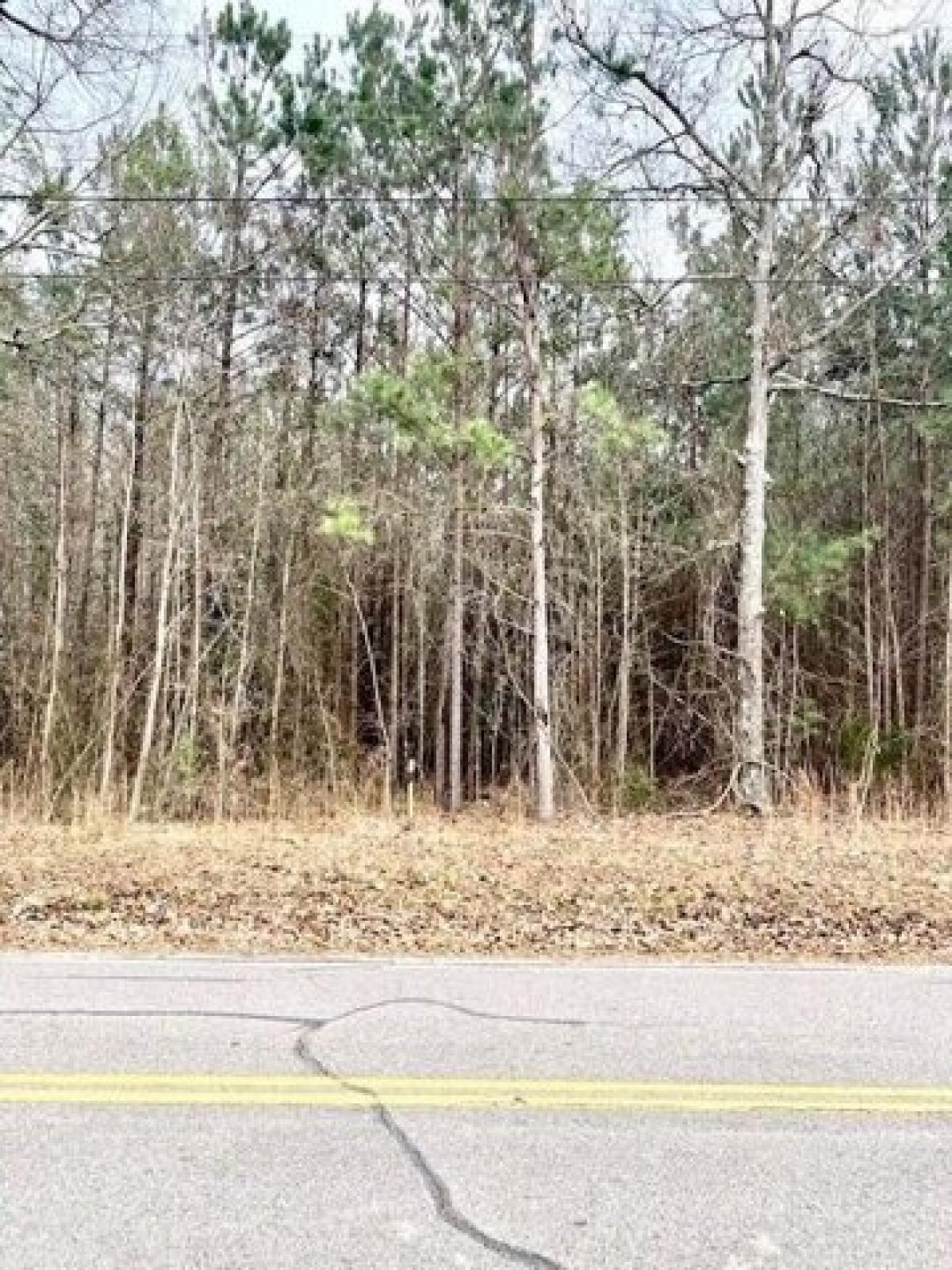 Picture of Residential Land For Sale in Edgefield, South Carolina, United States