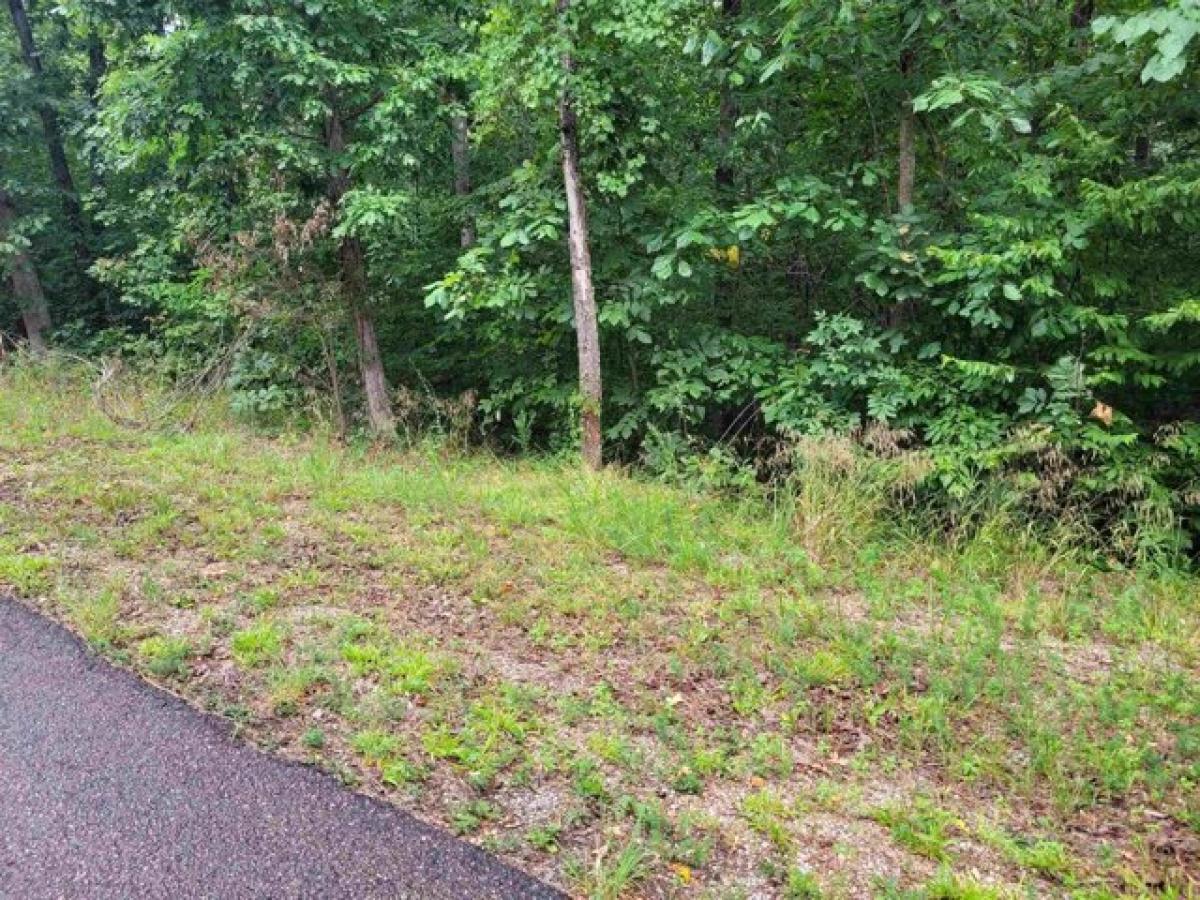 Picture of Residential Land For Sale in Counce, Tennessee, United States