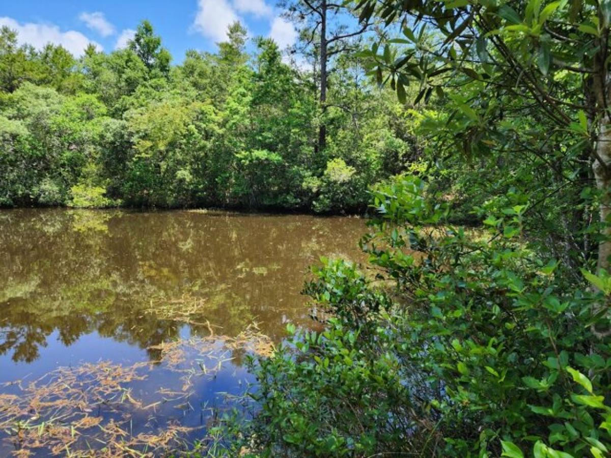 Picture of Residential Land For Sale in Navarre, Florida, United States