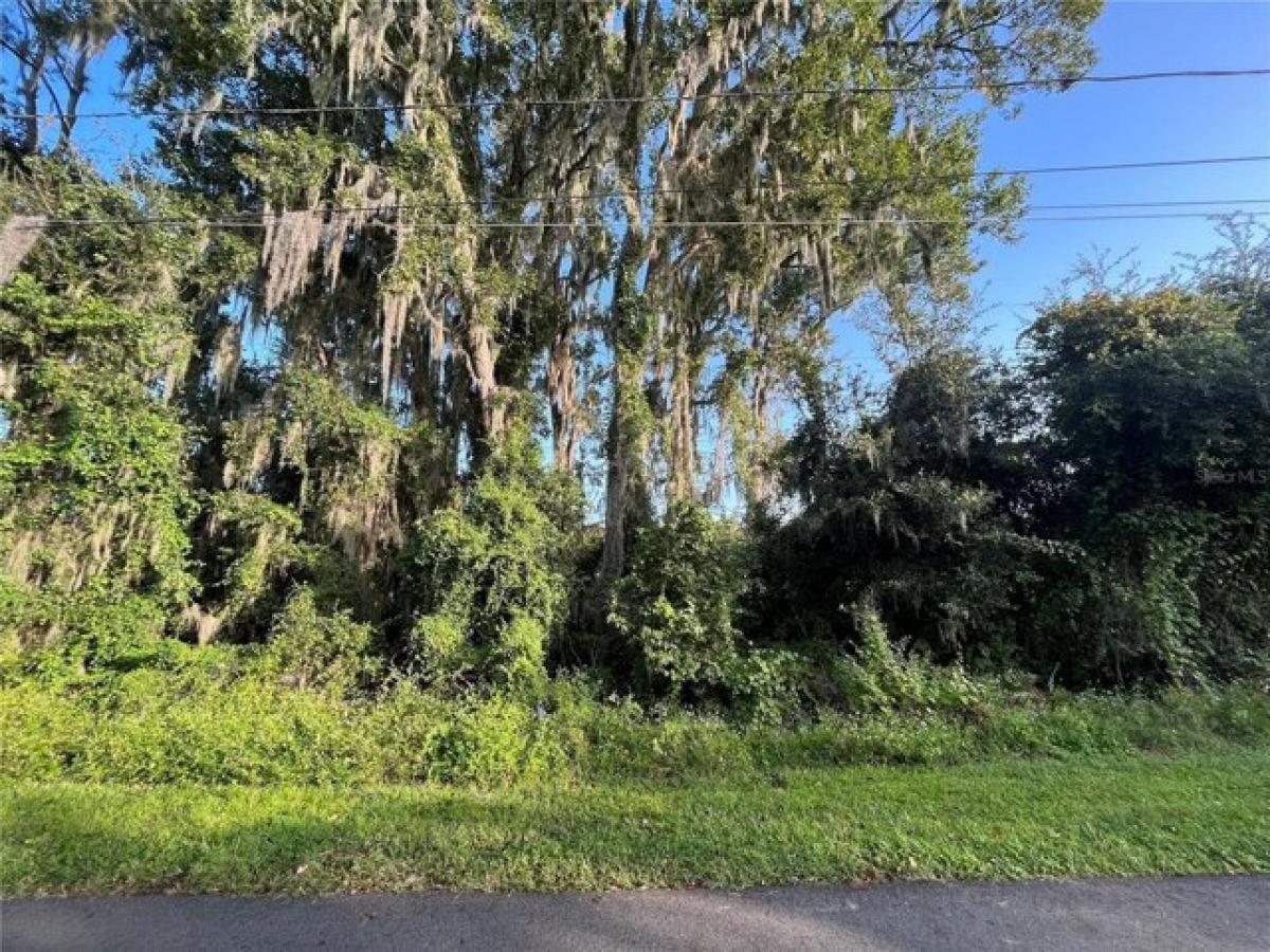 Picture of Residential Land For Sale in Debary, Florida, United States