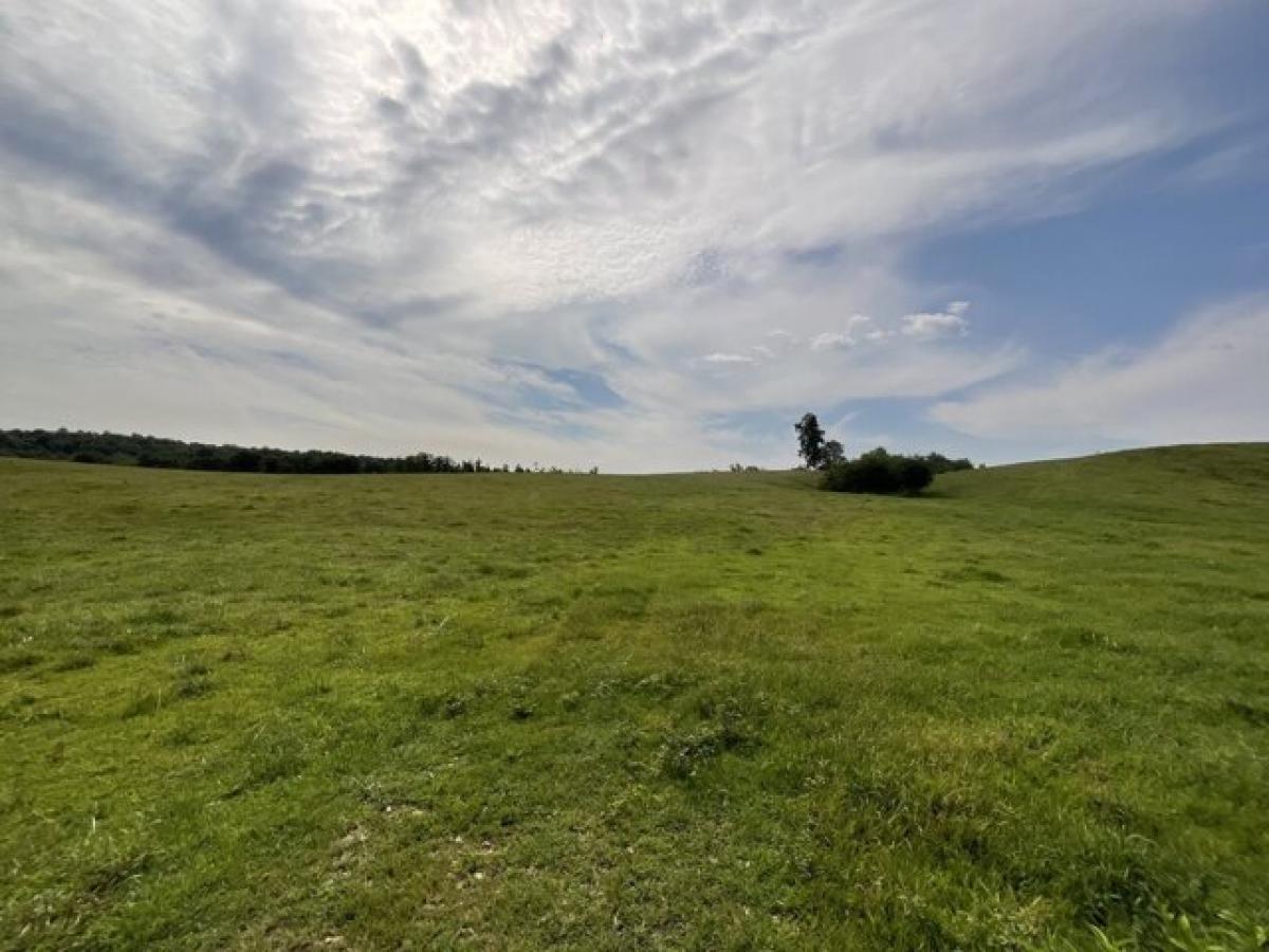 Picture of Residential Land For Sale in Erin, Tennessee, United States