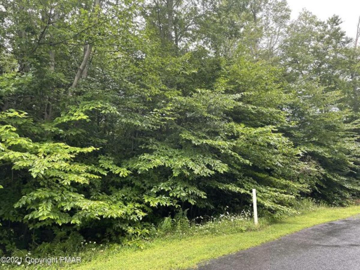 Picture of Residential Land For Sale in Blakeslee, Pennsylvania, United States