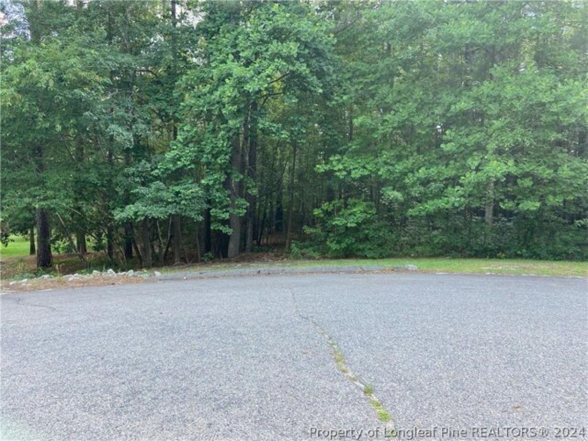 Picture of Residential Land For Sale in Sanford, North Carolina, United States