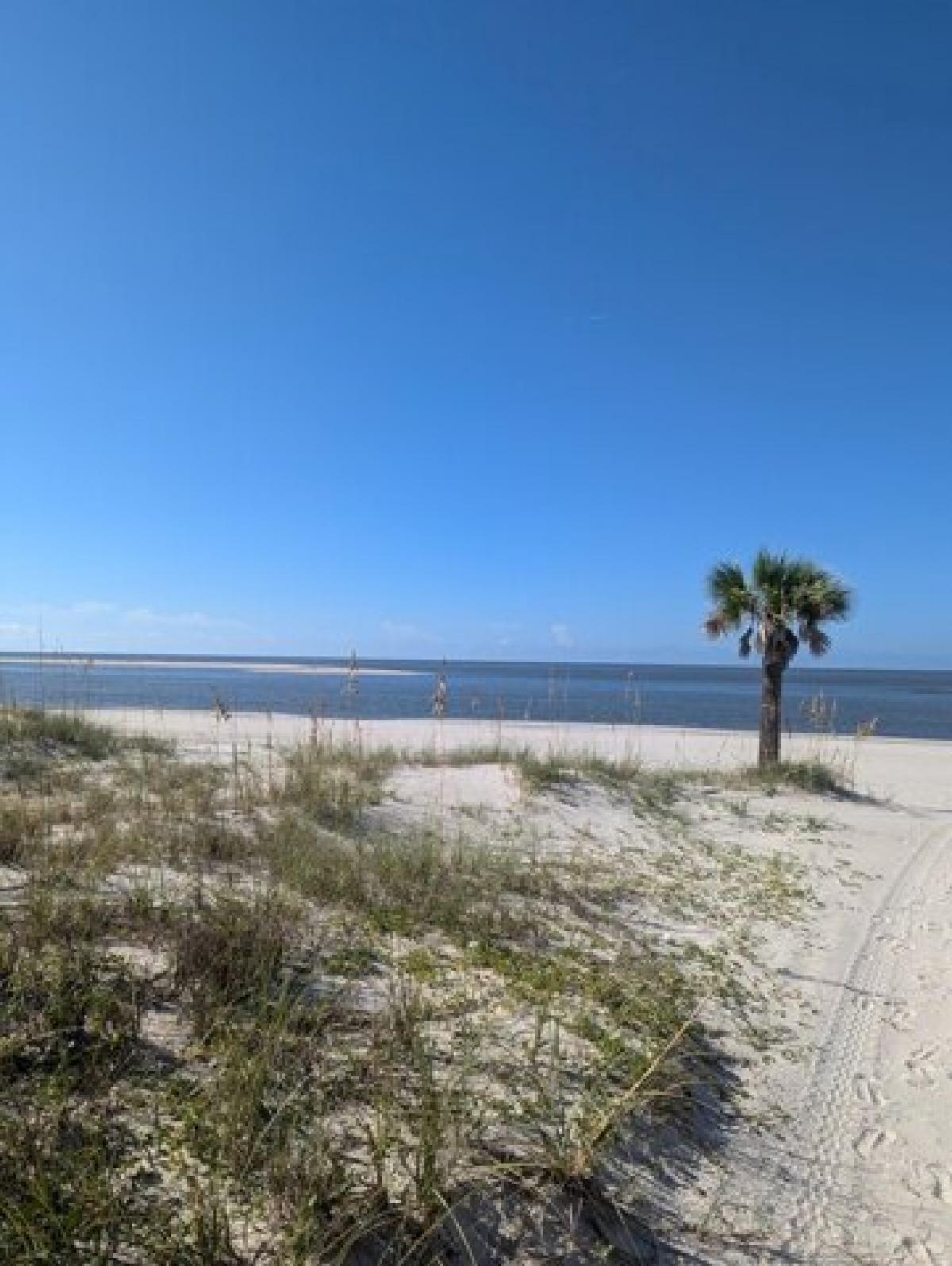 Picture of Residential Land For Sale in Port Saint Joe, Florida, United States