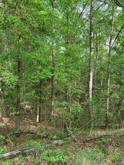 Residential Land For Sale in Crosby, Mississippi