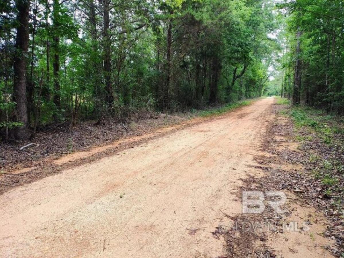 Picture of Residential Land For Sale in Coffeeville, Alabama, United States