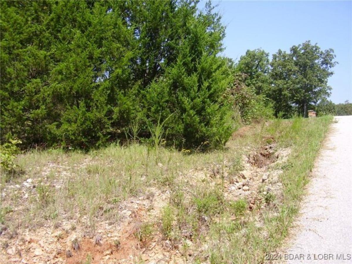 Picture of Residential Land For Sale in Camdenton, Missouri, United States