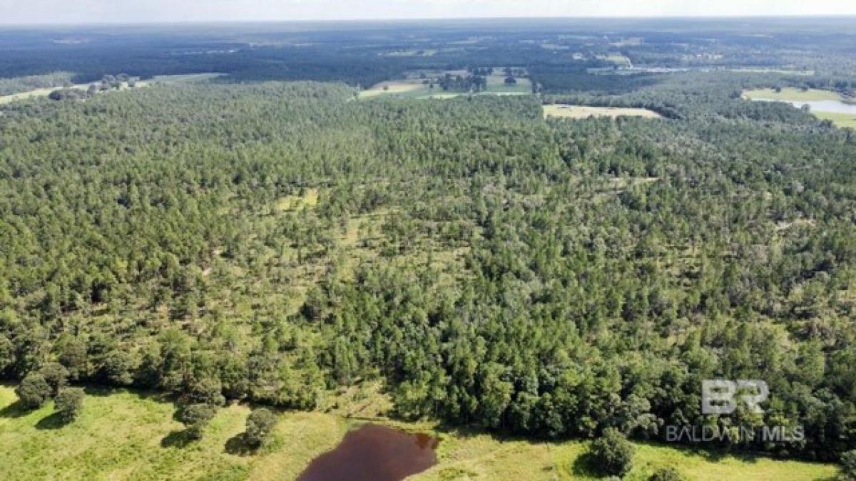 Picture of Home For Sale in Chatom, Alabama, United States