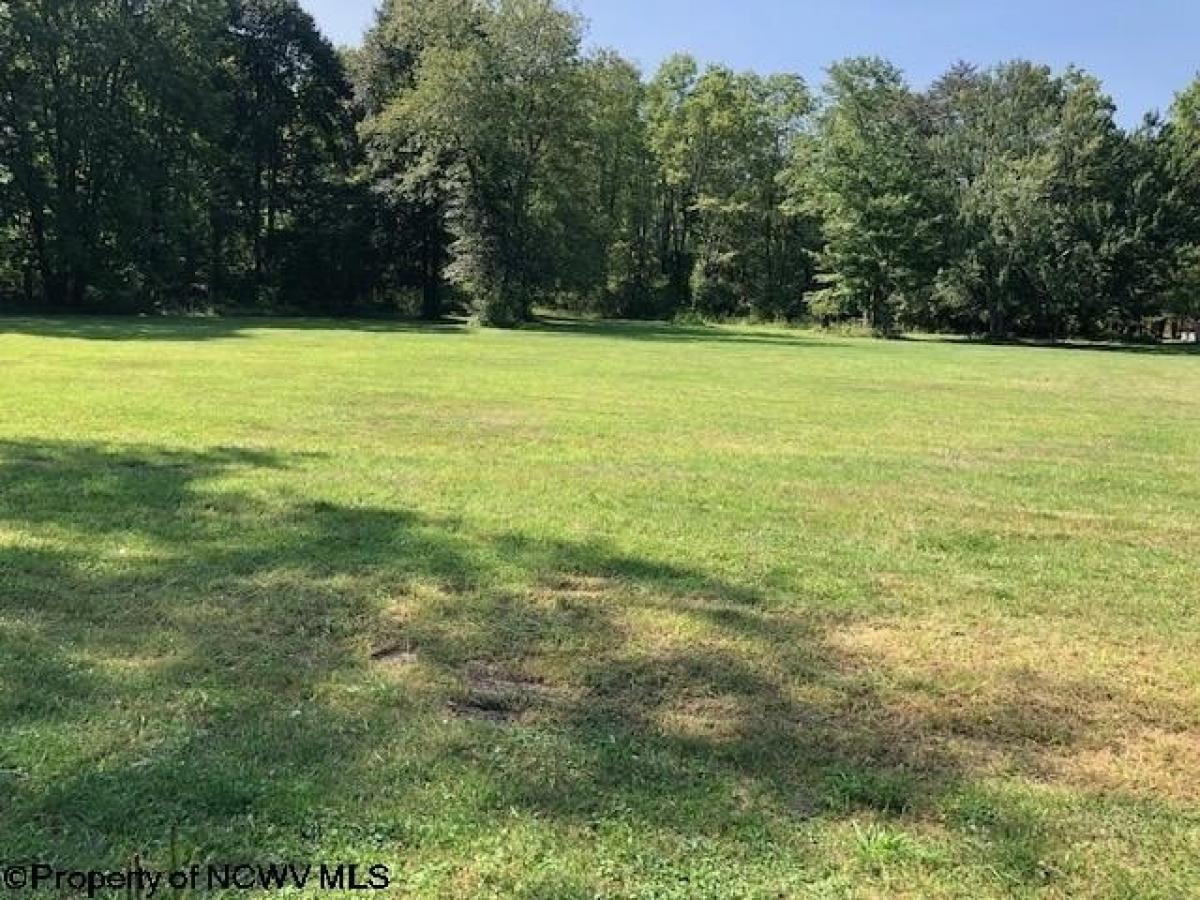 Picture of Residential Land For Sale in Elkins, West Virginia, United States