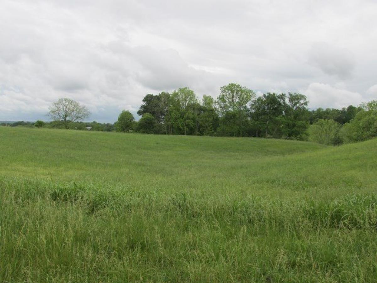 Picture of Residential Land For Sale in Cookeville, Tennessee, United States