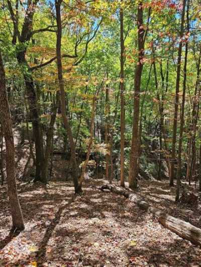 Residential Land For Sale in Big Canoe, Georgia