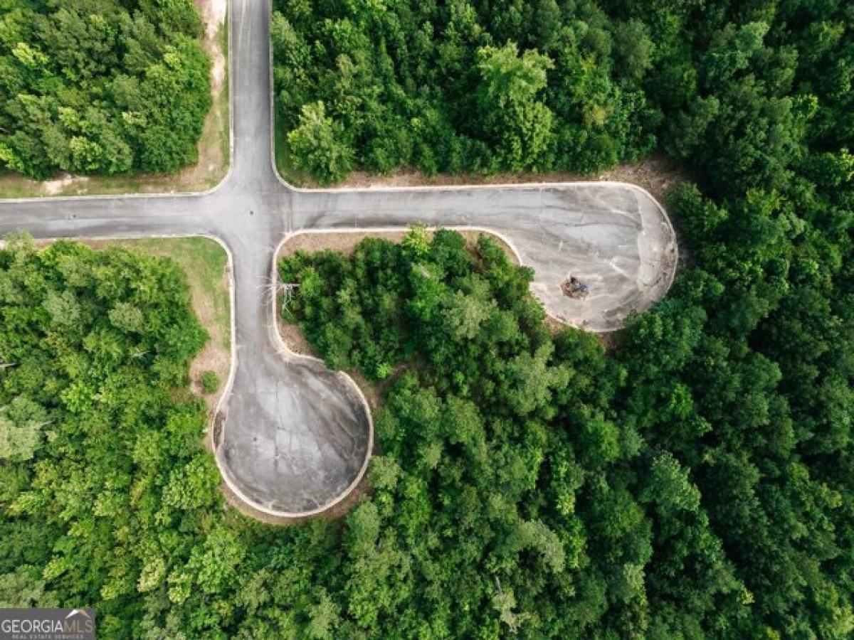 Picture of Residential Land For Sale in Lizella, Georgia, United States