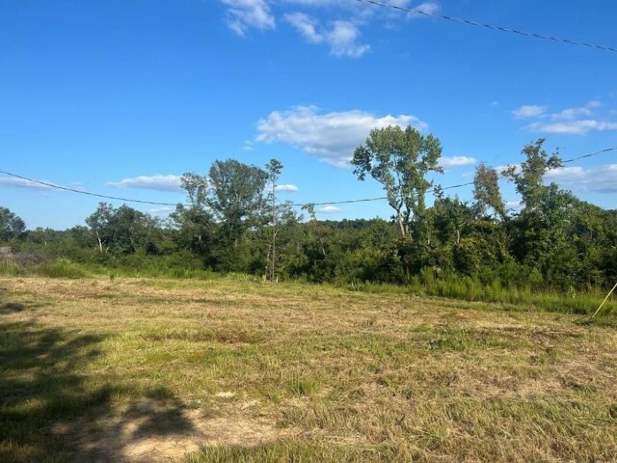 Picture of Residential Land For Sale in Dalzell, South Carolina, United States