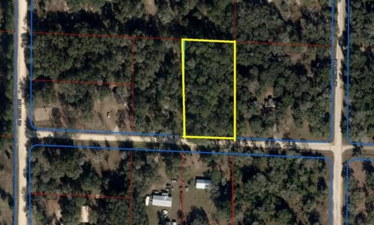 Picture of Residential Land For Sale in Williston, Florida, United States