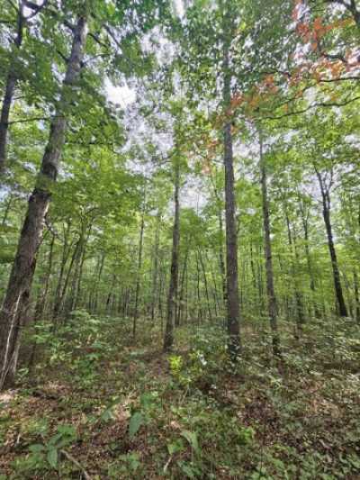 Residential Land For Sale in Gruetli Laager, Tennessee