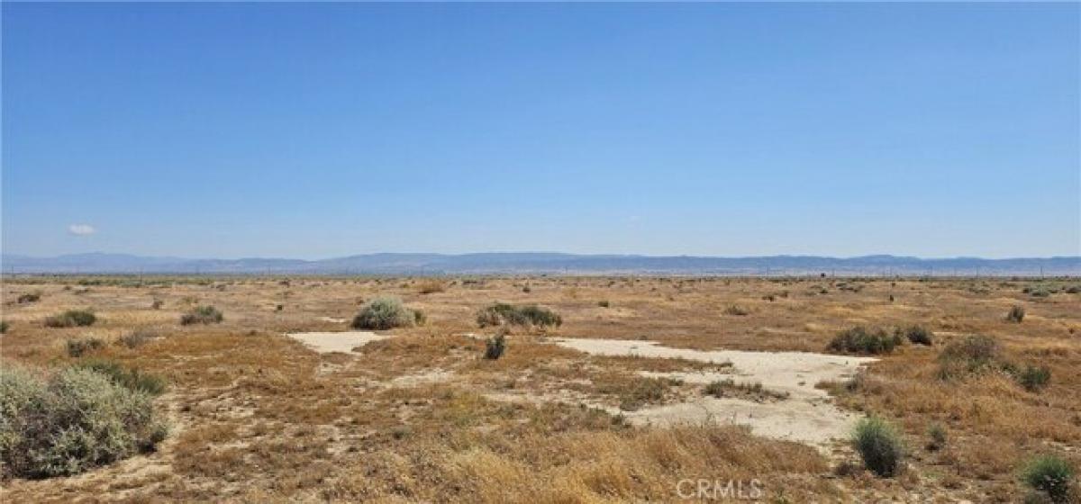 Picture of Residential Land For Sale in Mojave, California, United States