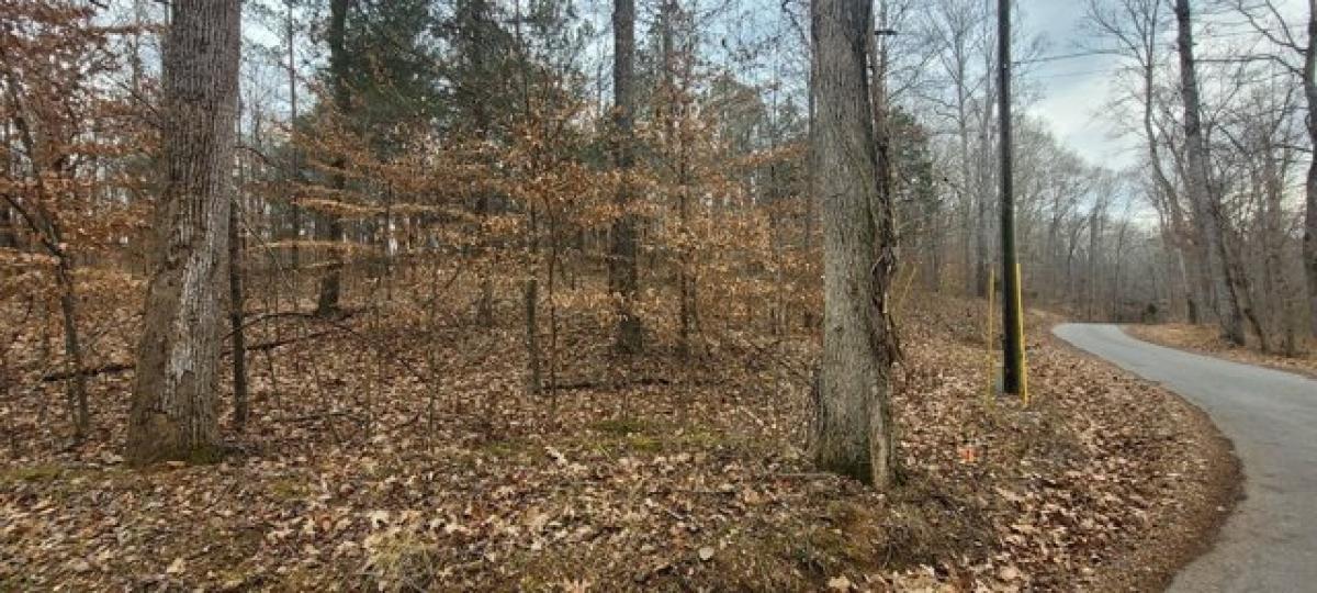 Picture of Residential Land For Rent in Bumpus Mills, Tennessee, United States