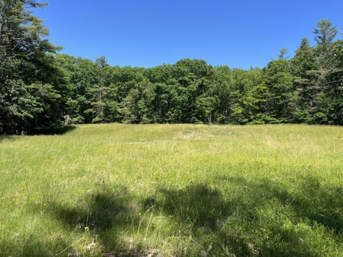 Picture of Residential Land For Sale in Shapleigh, Maine, United States