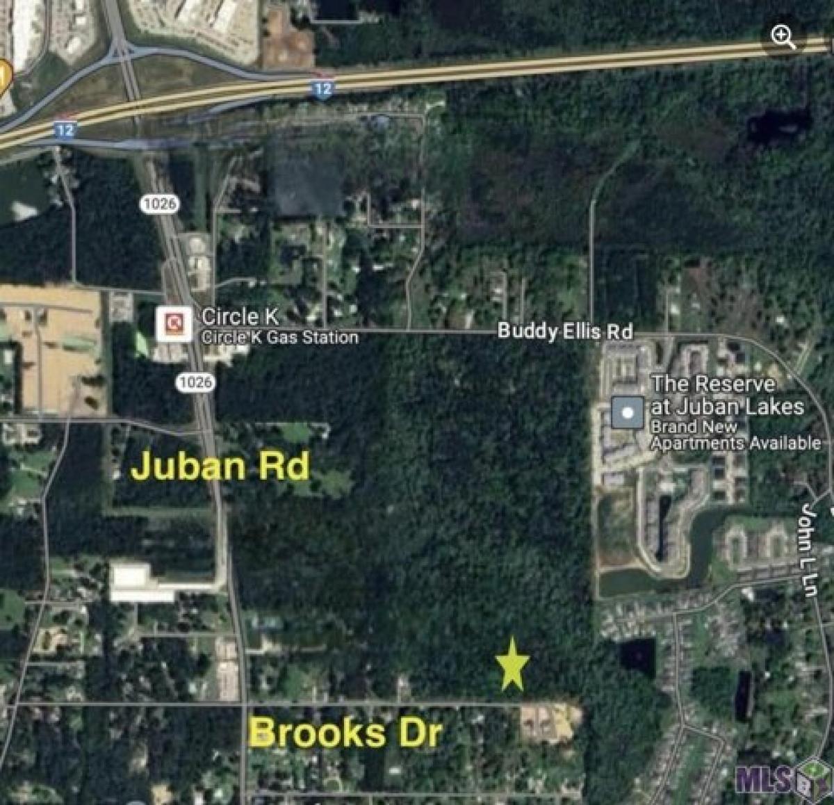 Picture of Residential Land For Sale in Denham Springs, Louisiana, United States