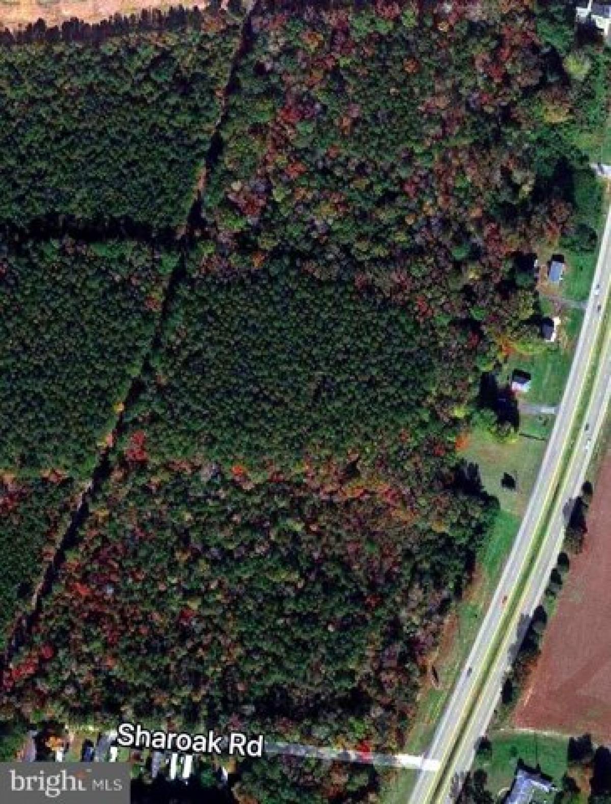 Picture of Residential Land For Sale in Oak Hall, Virginia, United States