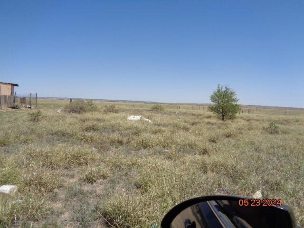 Picture of Residential Land For Sale in Moriarty, New Mexico, United States