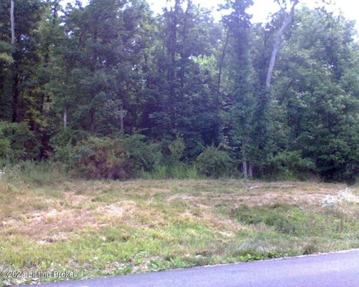 Picture of Residential Land For Sale in Leitchfield, Kentucky, United States