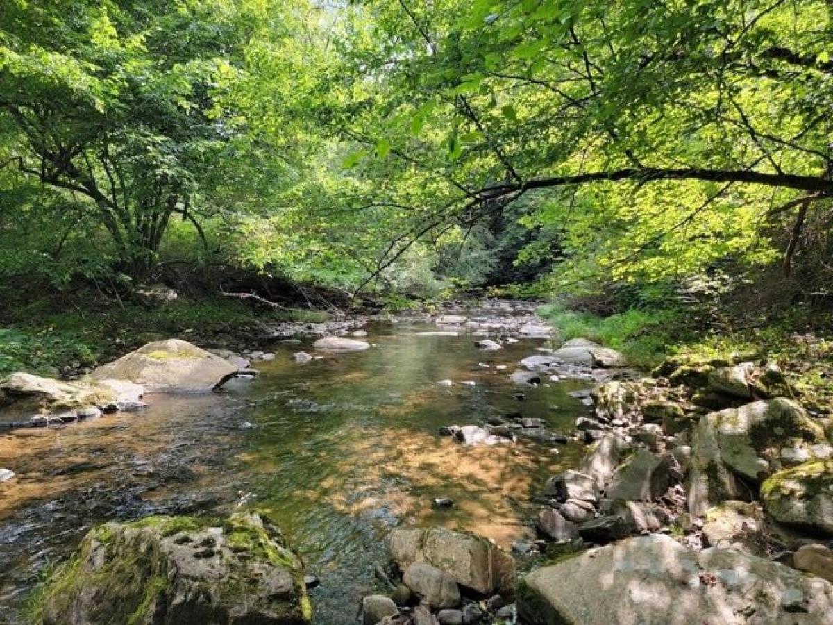 Picture of Residential Land For Sale in Mouth of Wilson, Virginia, United States